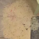 vomit