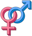 Gender42