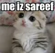 Harshi_iz_shareef Harshi_iz_shareef