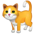 cat_1f4081 Discord Emoji