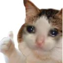 cat_ok