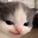 Tako
