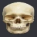 skullirl