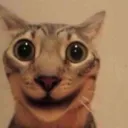 eh