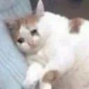 depression