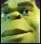 maybeshrek