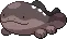 clodsire
