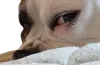 berta_side_eye