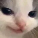 hehesmirk Discord Emoji