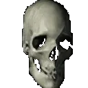 rotating_skull