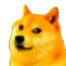 1073115362020818954