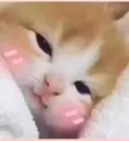supu_in_love