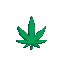 joint