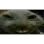 xdd