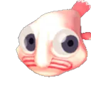 bobSipmoon