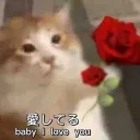 ILY
