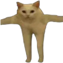 tposecat
