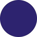 TPX_Dark_Blue_Circle