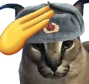 Floppa