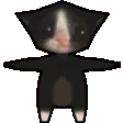 Cat_KittenSpin