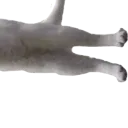 catlegs