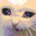 Icry