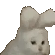 catNOD