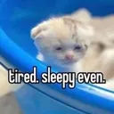 eepy