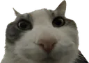 noway