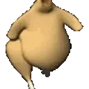 chickenrun