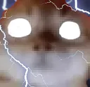 NOW