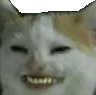 heheT heheT