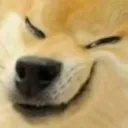 emoji_18 emoji_18