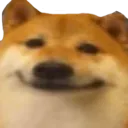 cheems