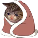sadcat sadcat