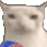 cat_munch_eat cat_munch_eat