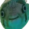 StareFish
