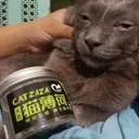 catzaza