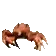 3562_crab_rave