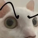 ID_sus