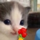 heherose Discord emoji