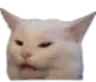 WL_angrycat