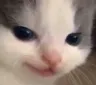 evil