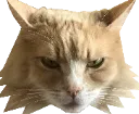Cat2 cat2 Discord Emoji