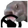 fishsteer