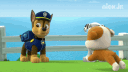 pawpatrol