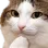 thinkcat