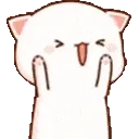 catHYPE catHYPE