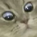 huh
