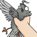 HaiBirdGrab